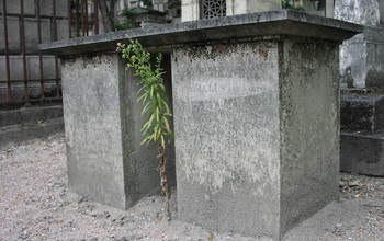 The grave of Etienne-Louis Malus in Pere LaChaise Cemetary in Paris.